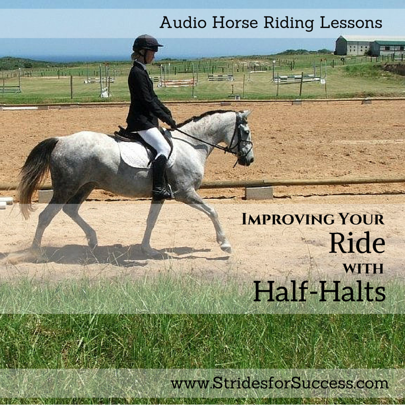 Improving You Ride with Half Halts