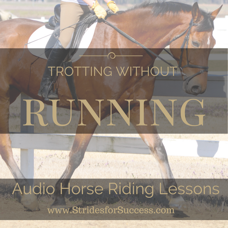 Trotting Without Running | Audio Horse Riding Lessons