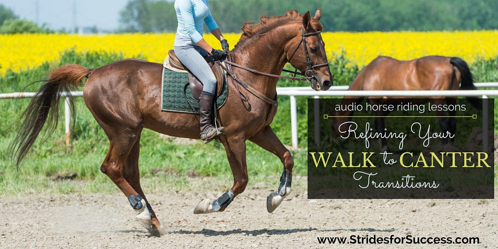 Refining Your Walk to Canter Transitions