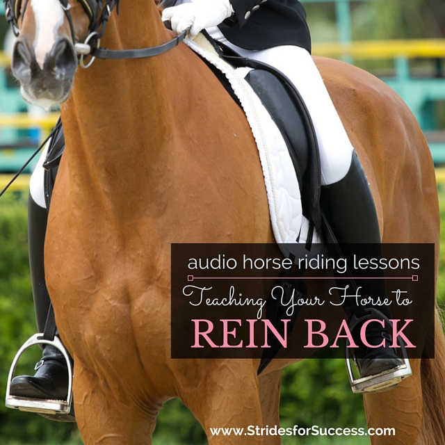Teaching Your Horse to REin Back Correctly