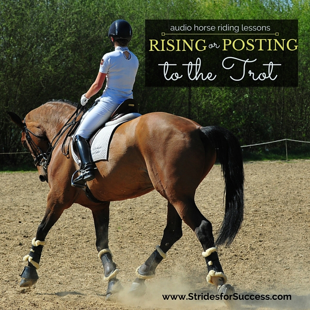 Rising or posting to the trot