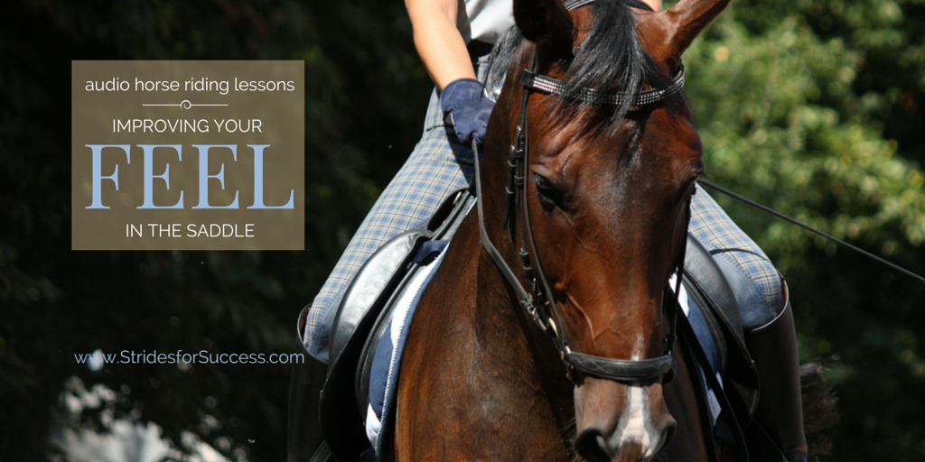Developing Your Feel in the SAddle