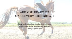 Daily Strides Premium