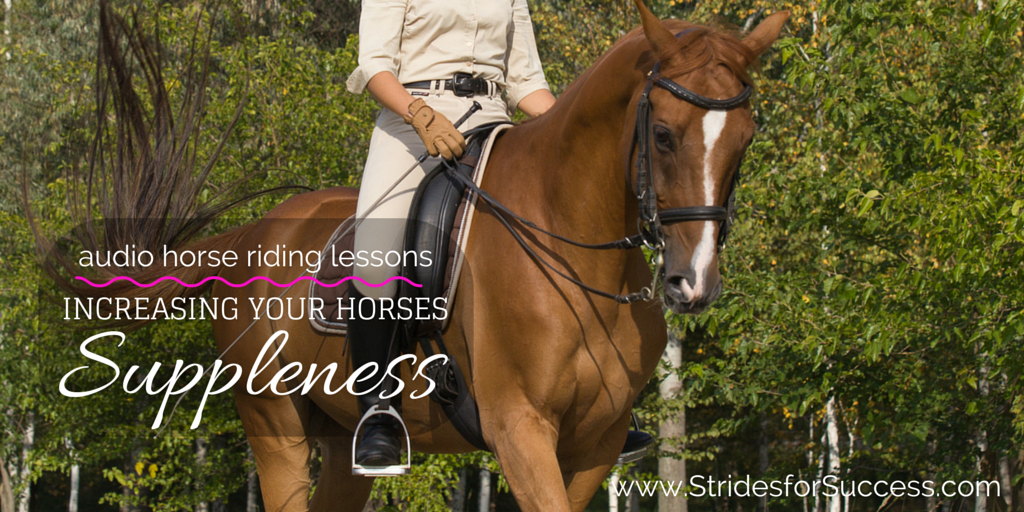 Increasing Your Horses Suppleness