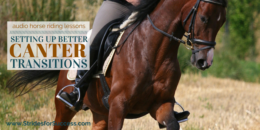 Setting Up Better Canter Transitions
