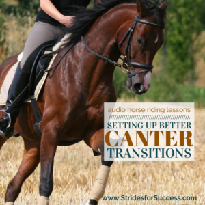 Setting up better canter transitions