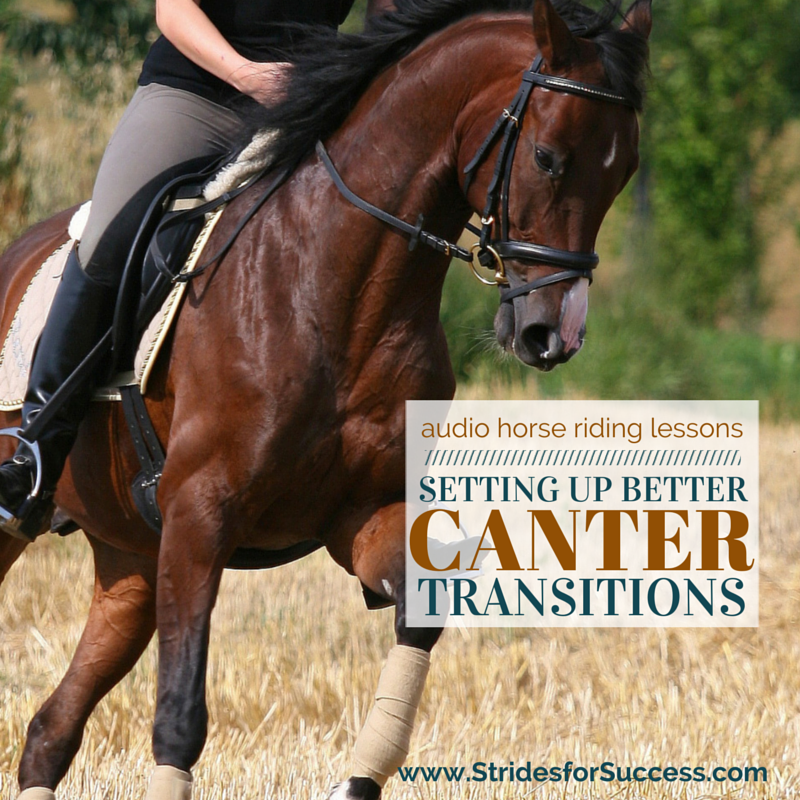 Setting Up Better Canter Transitions