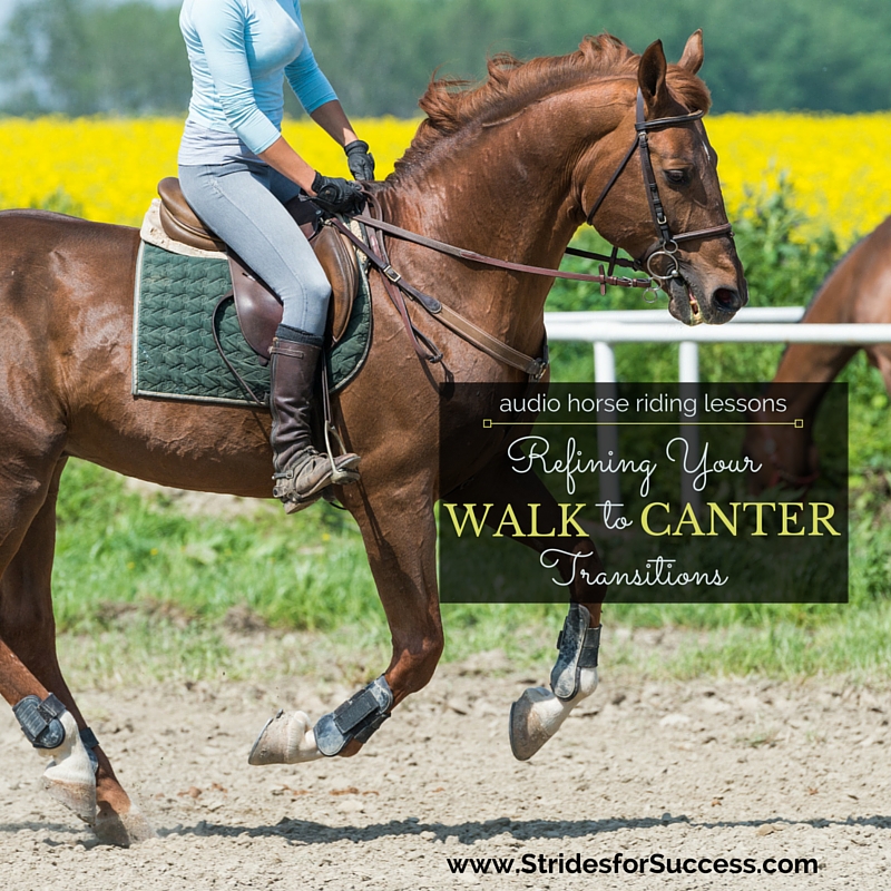 Refining Your Walk to Canter Transition