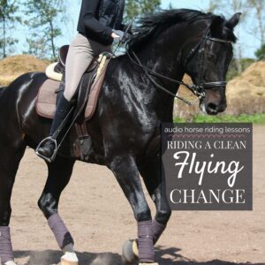 Riding a Clean Flying Change