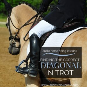 Finding the Correct Diagonal in trot