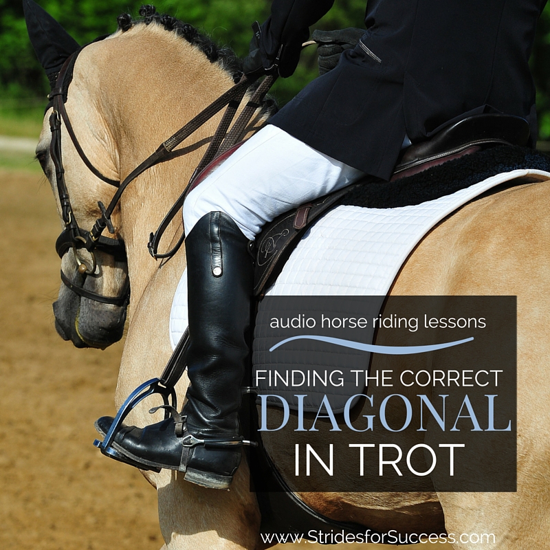 The Correct Diagonal In Trot