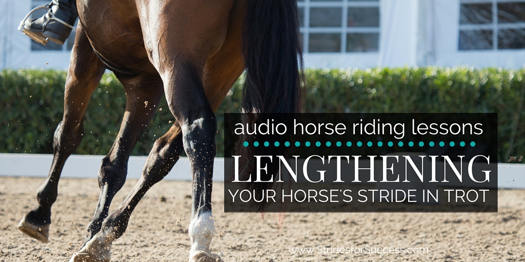 Lengthening Your Horses Stride in Trot