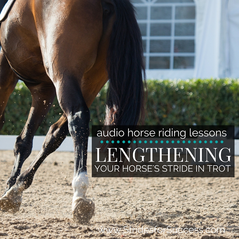 Lengthening Your Horses Stride in Trot