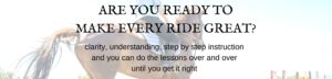 Daily Strides Premium