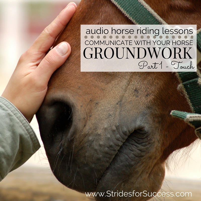 Communicate with your horse through groundwork part 1 touch