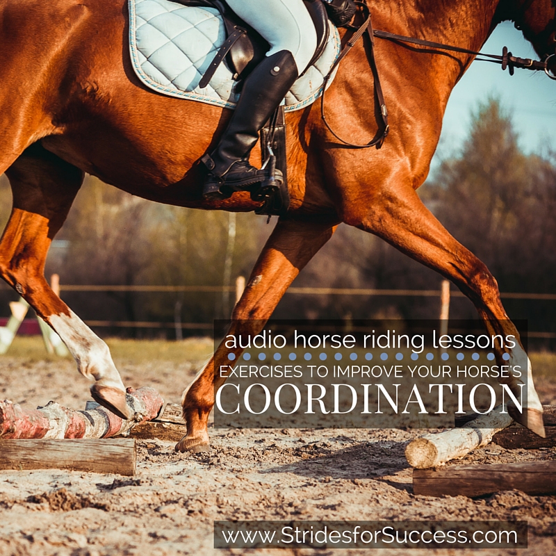 Exercises to Improve Your Horses Coordination