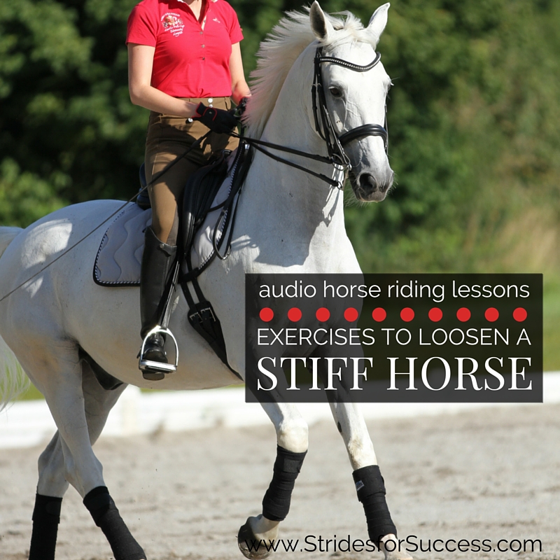 Exercises to Help Loosen a Stiff Horse