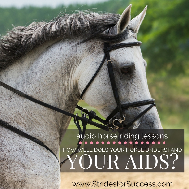 How Well Does Your Horse Understand Your Aids?