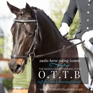 The basics for retraining your ottb