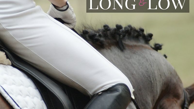 Working your horse Long and Low