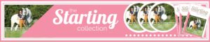 The Starting Collection - Daily Strides Premium