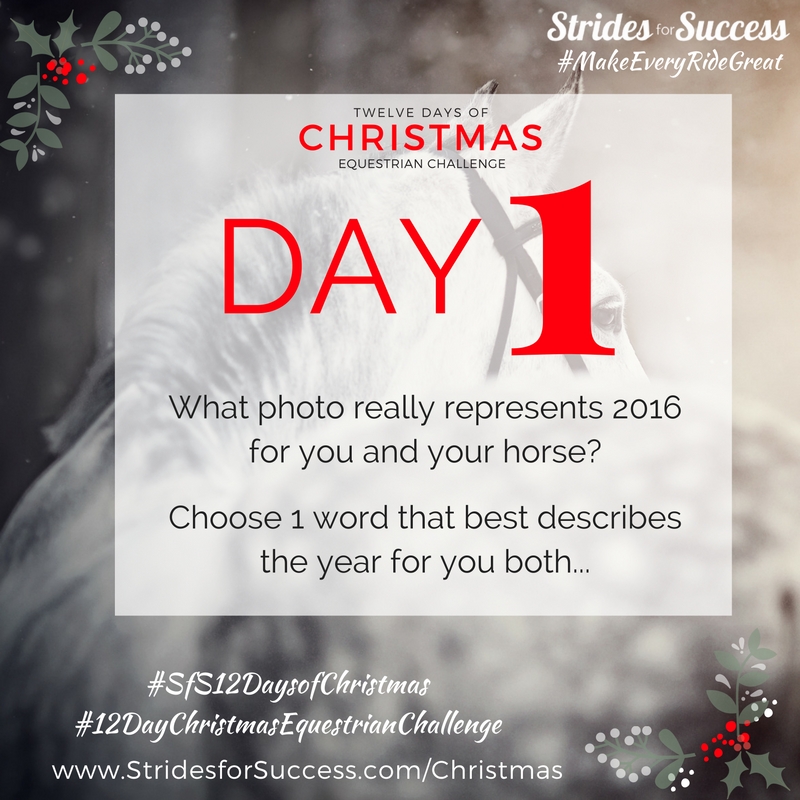 Day 1 ~ SfS 12 Days of Christmas Equestrian Challenge