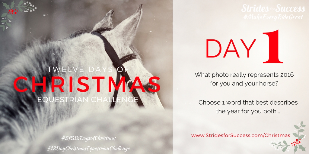 SfS 12 Days of Christmas Equestrian Challenge Day 1