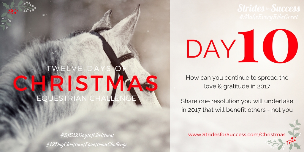 Strides for Success 12 Days of Christmas Equestrian Challenge Day 10