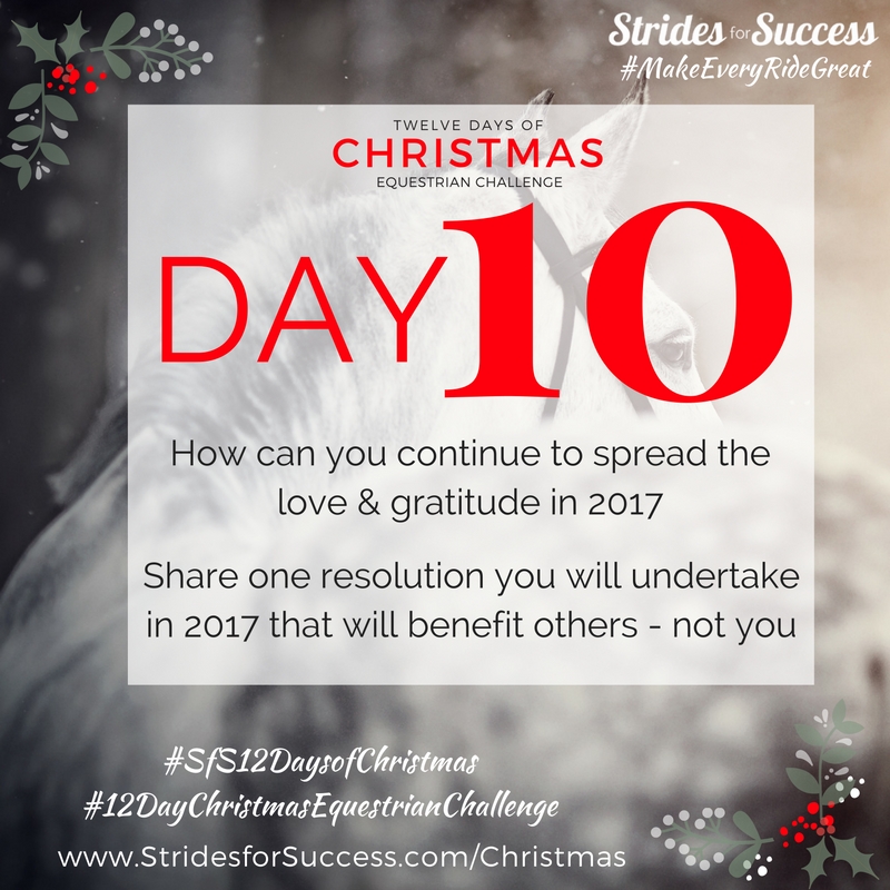 Day 10 ~ SfS 12 Days of Christmas Equestrian Challenge