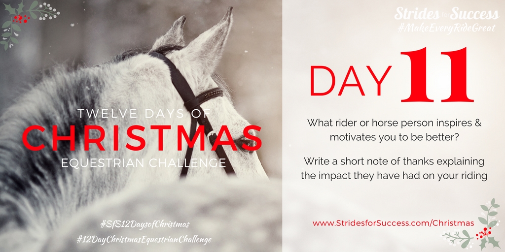 Strides for Success 12 Days of Christmas Equestrian Challenge Day 11