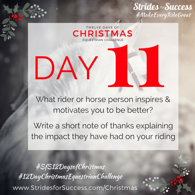 Day 11 ~ SfS 12 Days of Christmas Equestrian Challenge
