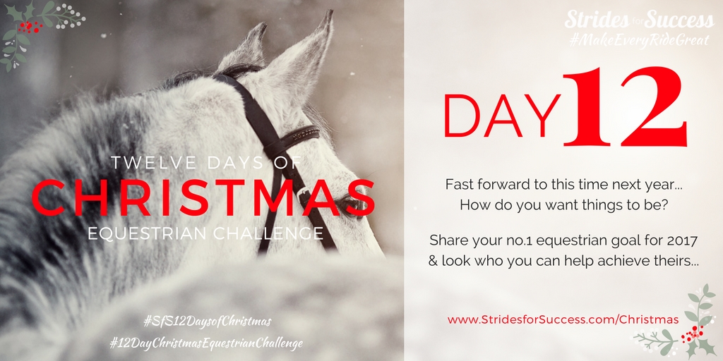 Strides for Success 12 Days of Christmas Equestrian Challenge Day 12