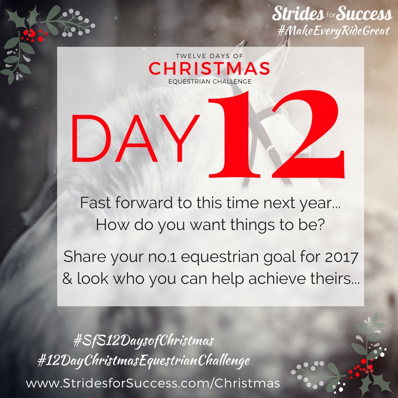 Day 12 ~ SfS 12 Days of Christmas Equestrian Challenge