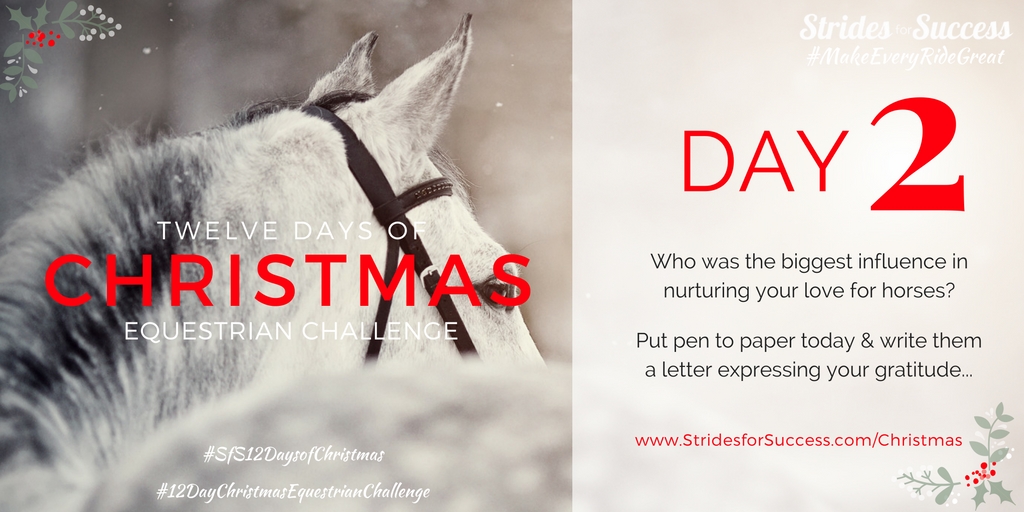 SfS 12 Days of Christmas Equestrian Challenge Day 2