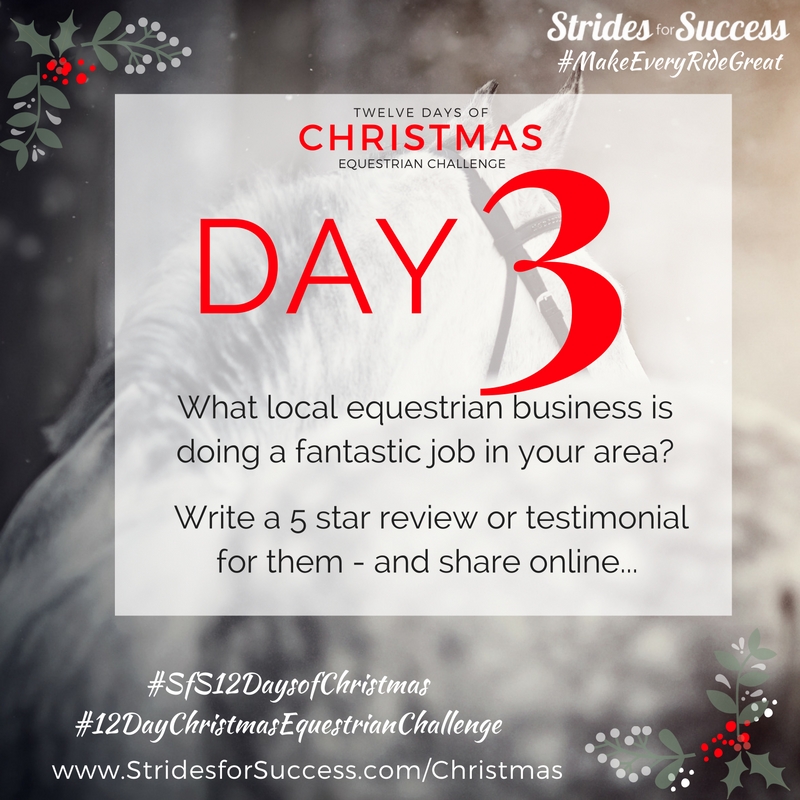 Day 3 ~ SfS 12 Days of Christmas Equestrian Challenge