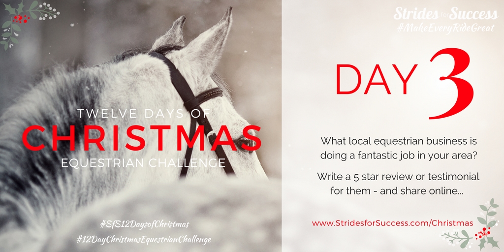 SfS 12 Days of Christmas Equestrian Challenge Day 3