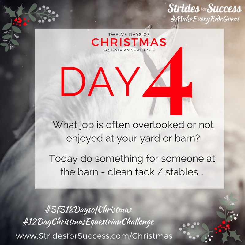 Day 4 ~ SfS 12 Days of Christmas Equestrian Challenge