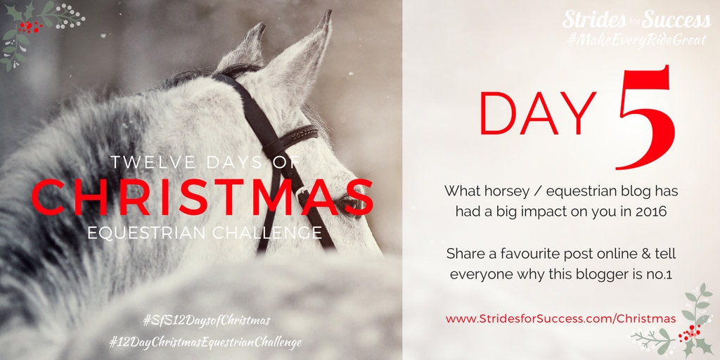 SfS 12 Days of Christmas Equestrian Challenge Day 5