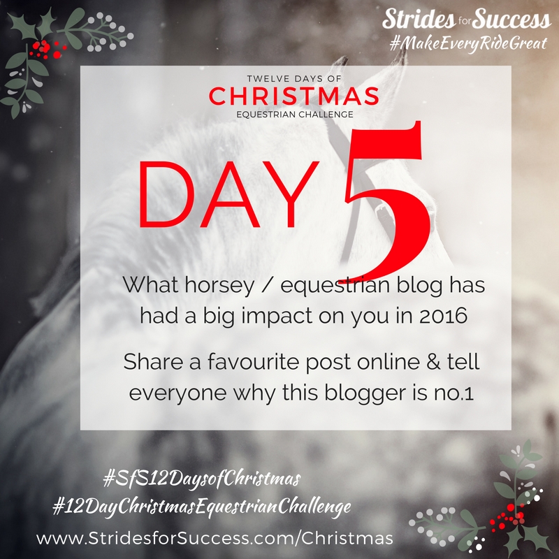Day 5 ~ SfS 12 Days of Christmas Equestrian Challenge