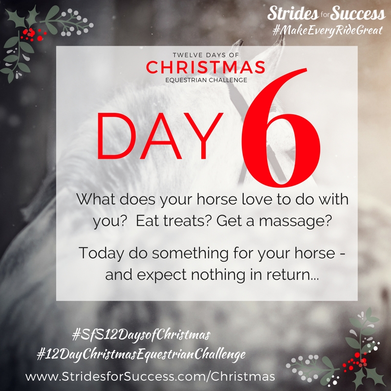 Day 6 ~ SfS 12 Days of Christmas Equestrian Challenge