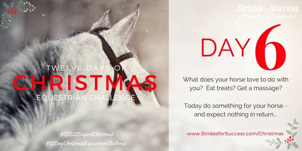 Strides for Success 12 Days of Christmas Equestrian Challenge Day 6