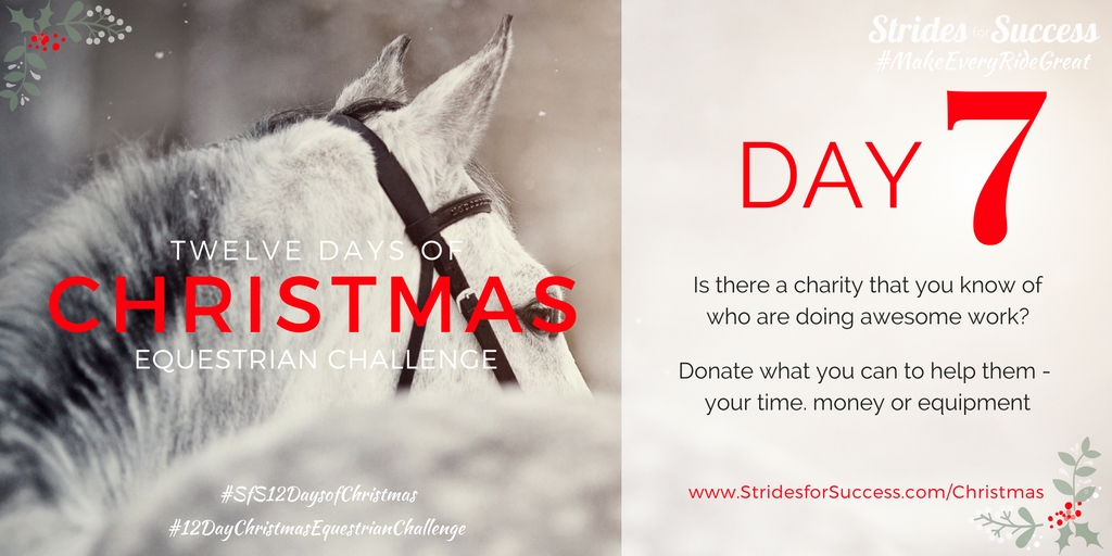 Strides for Success 12 Days of Christmas Equestrian Challenge Day 7