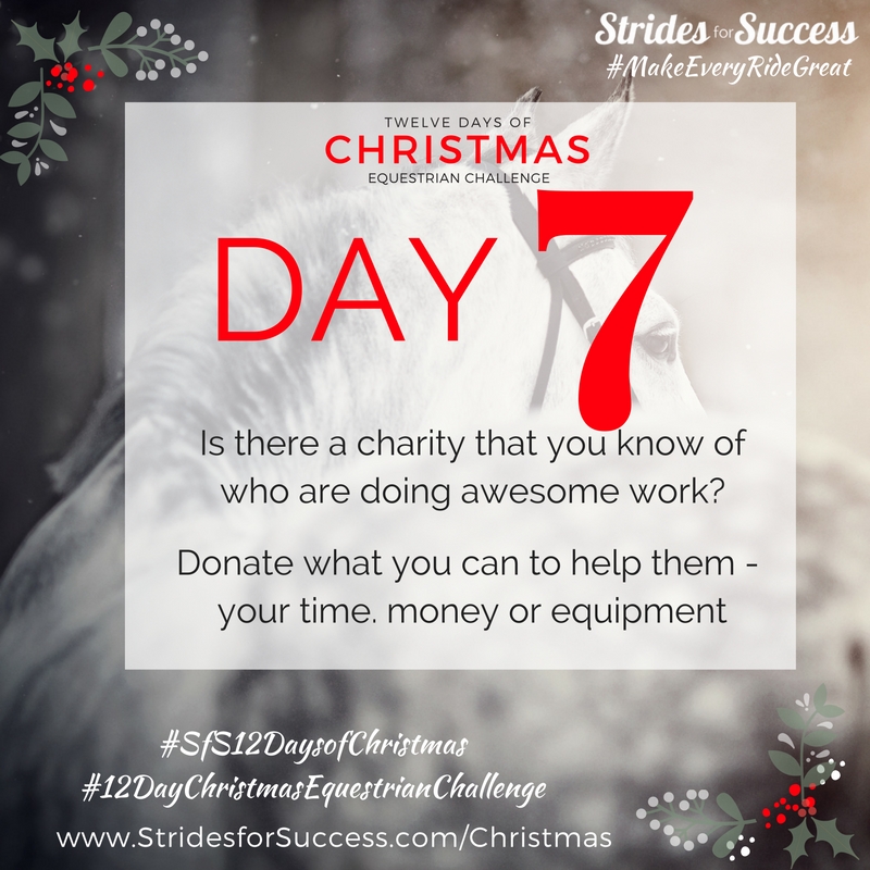Day 7 ~ SfS 12 Days of Christmas Equestrian Challenge