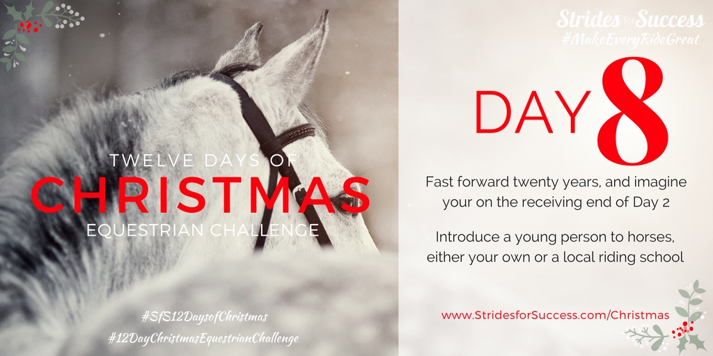 Strides for Success 12 Days of Christmas Equestrian Challenge Day 8