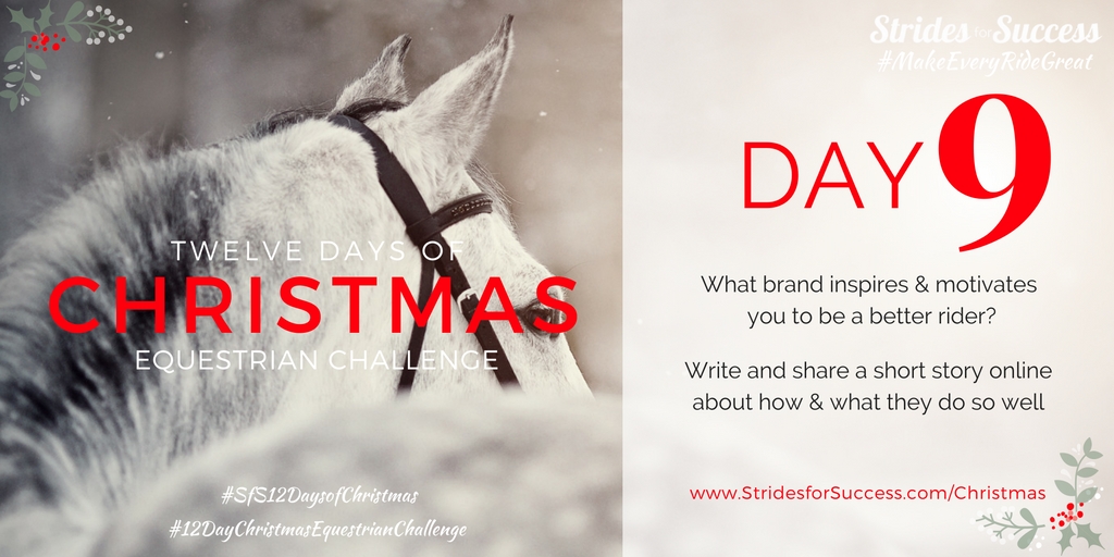 Strides for Success 12 Days of Christmas Equestrian Challenge Day 9