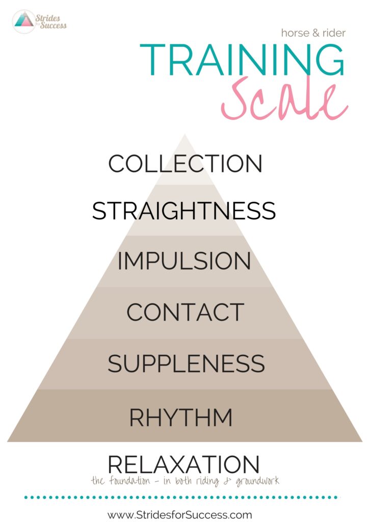 Training Program Scale training scale - Strides for Success