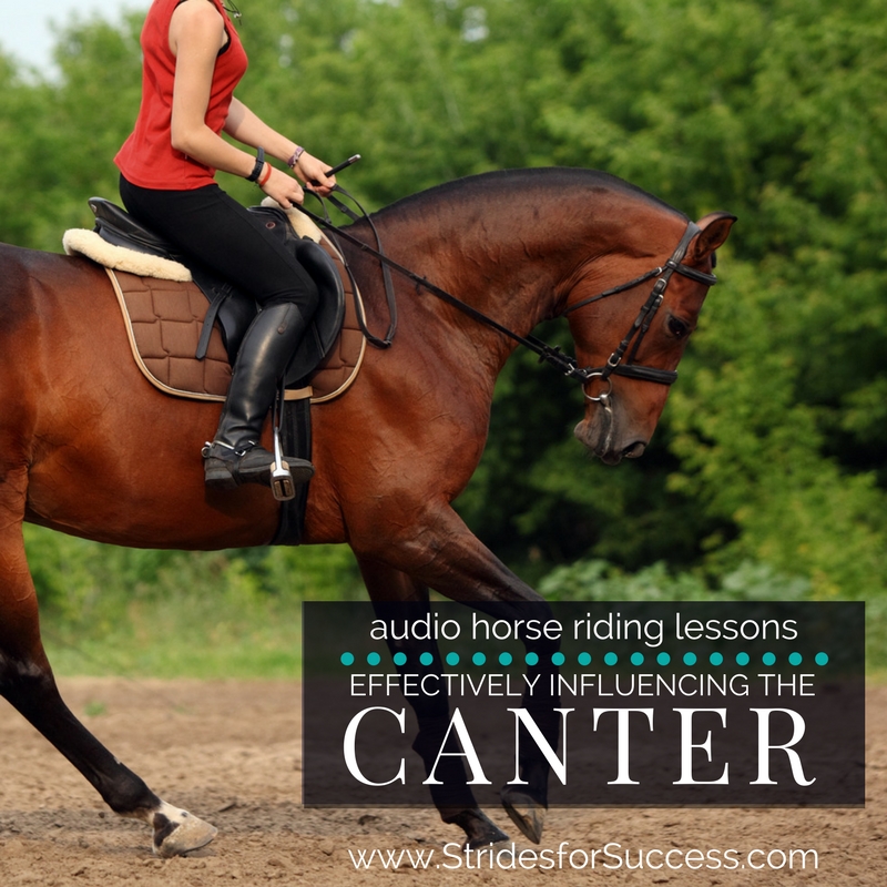 Using Your Body to Effectively Influence the Canter