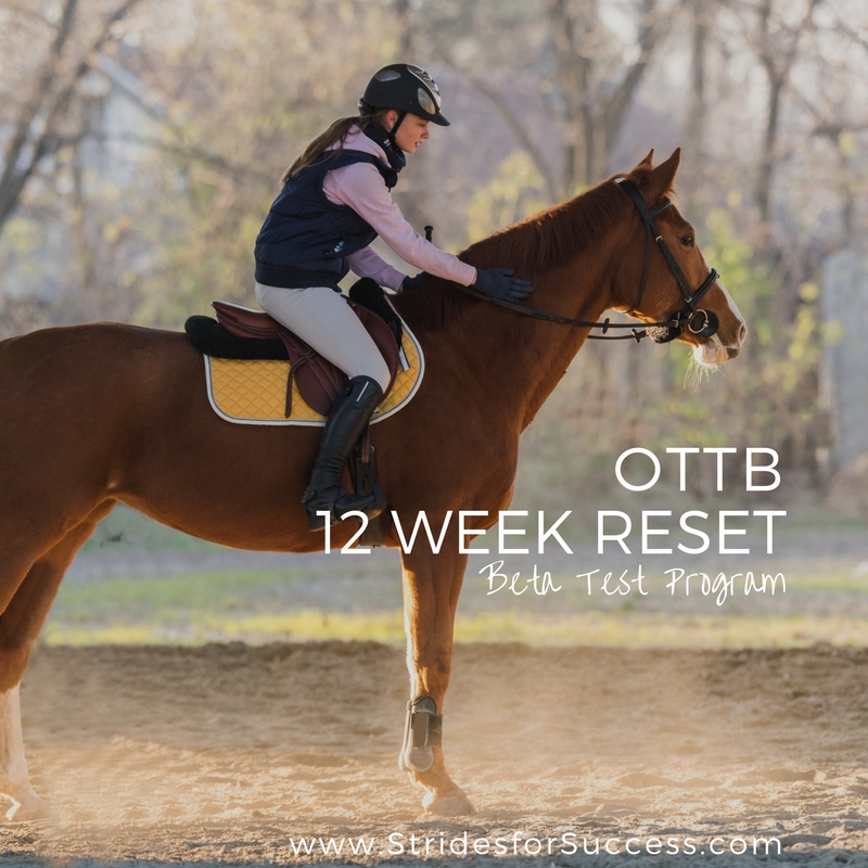 OTTB - Racetrack to Ready Program