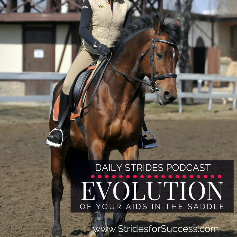 The Evolution of Your Aids in the Saddle for Better Conversation with Your Horse