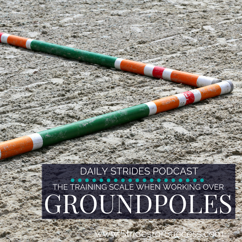 Working with the Training Scale over Groundpoles
